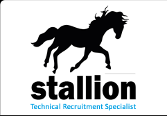 stallion recruitment